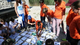 Prosika: “Igre bioraznolikosti – Kakvo sam društvo prirodi?” Prosika: “Igre bioraznolikosti – Kakvo sam društvo prirodi?”