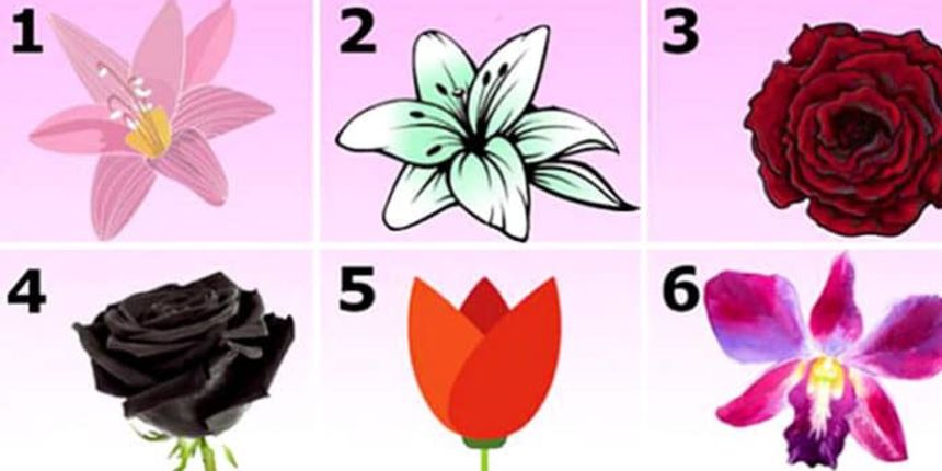 Cvijeće- test Cvijeće- test