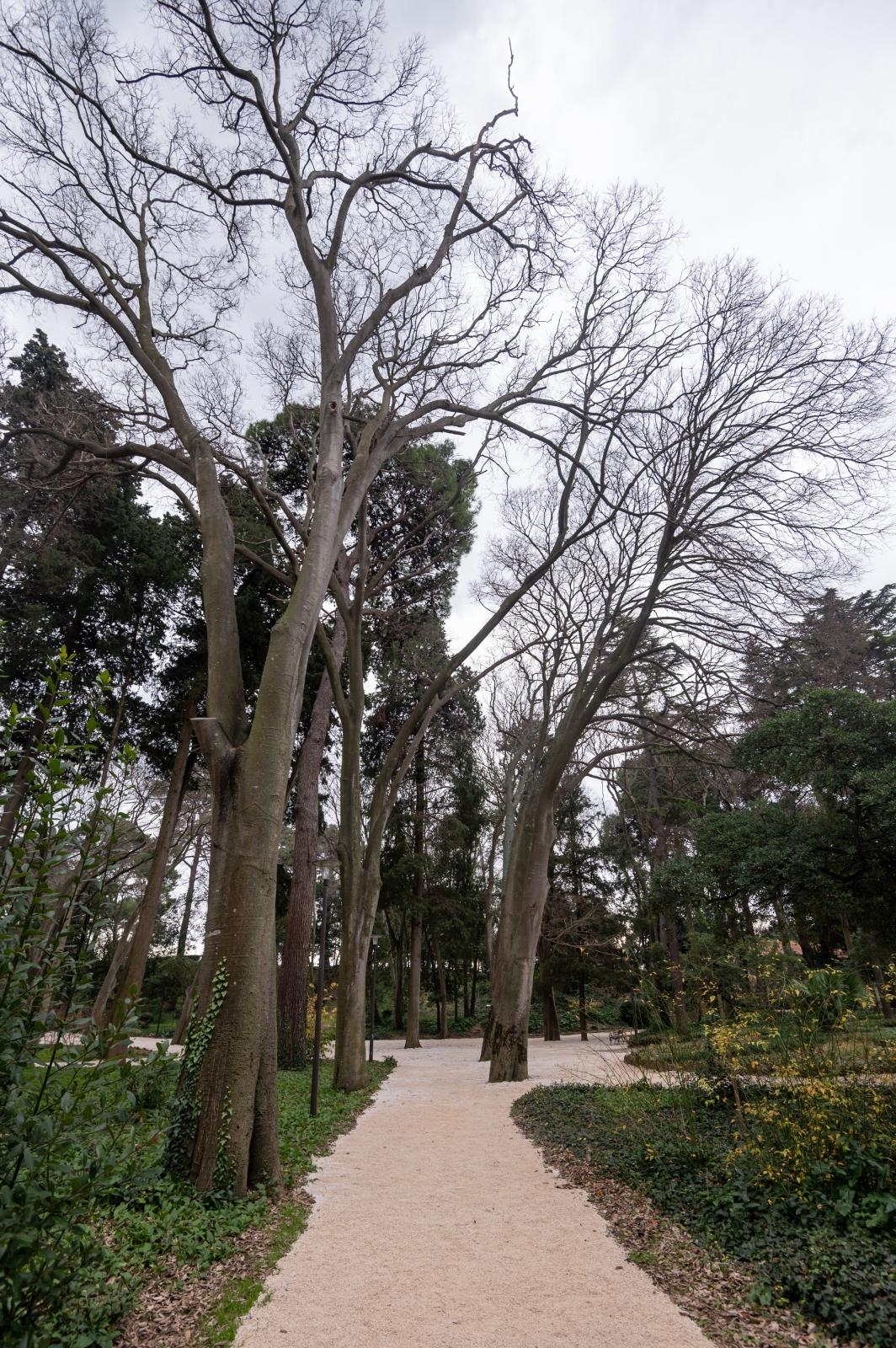 Đir po Perivoju Vladimira Nazora