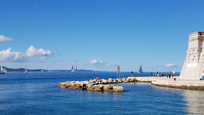 Zadarska Koka 2016. 22. listopada 2016. Foto: Mladen Malik Zadarska Koka 2016. 22. listopada 2016. Foto: Mladen Malik