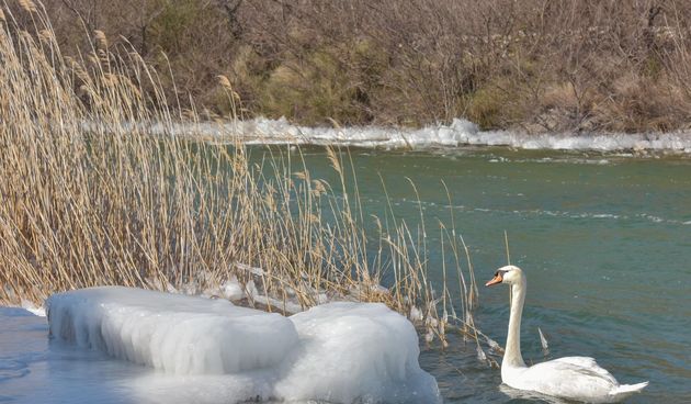 Ribarska lučica Prosika na Vranskom jezeru okovana ledom
