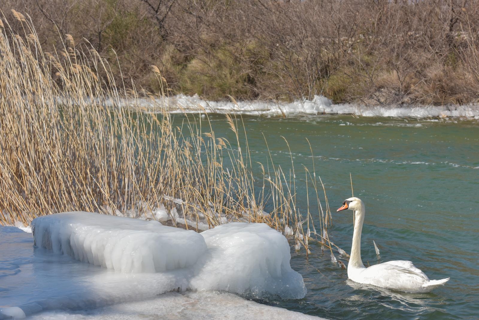 Ribarska lučica Prosika na Vranskom jezeru okovana ledom Ribarska lučica Prosika na Vranskom jezeru okovana ledom