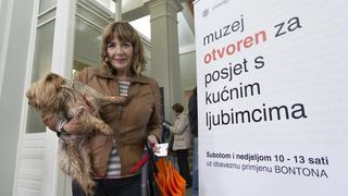 Kulturne šapice Kulturne šapice