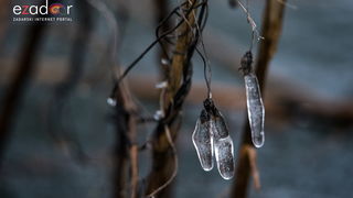 Zimska idila u Parku prirode Vransko jezero Zimska idila u Parku prirode Vransko jezero