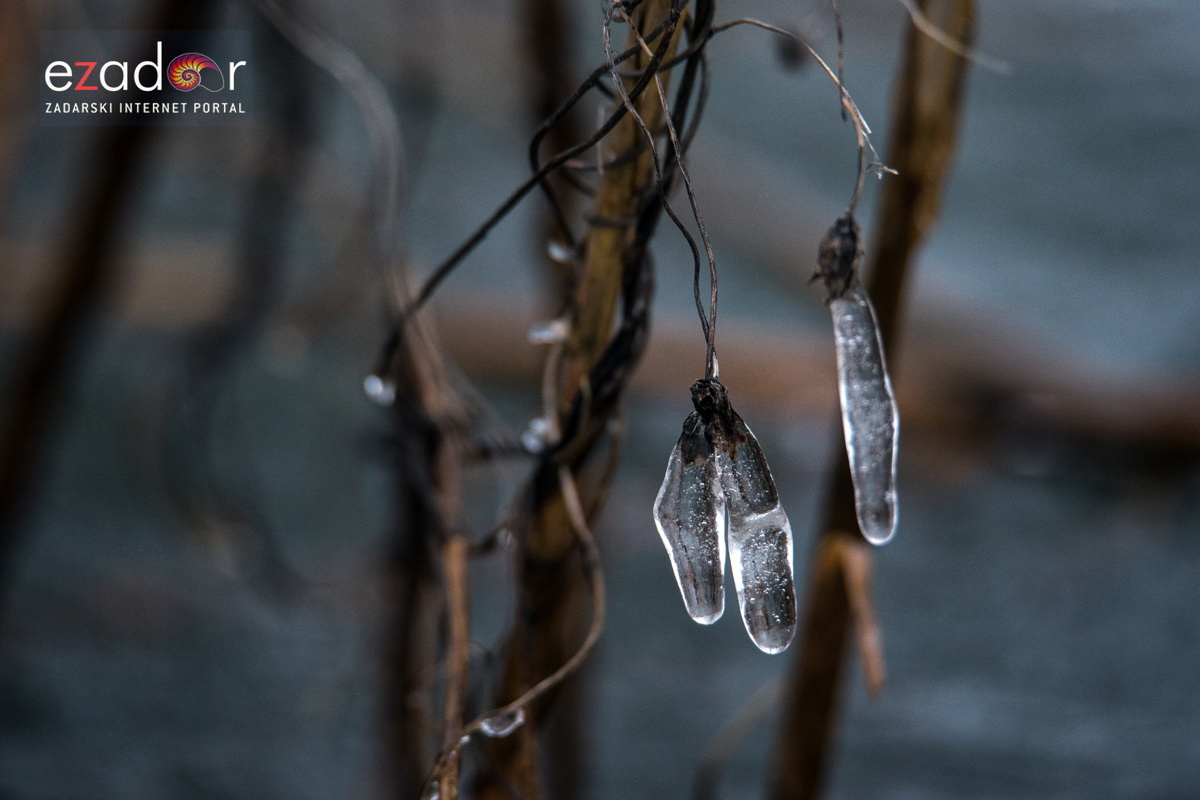 Zimska idila u Parku prirode Vransko jezero Zimska idila u Parku prirode Vransko jezero