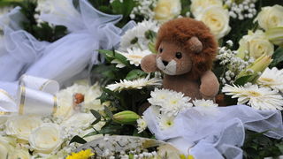 Zadar, 300313.
Sprovod djevojcice Nore Situm koja je prosli tjedan preminula u bolnici u Philadelphiji nakon duge i teske bolesti, odrzao se danas na gradskom groblju u Zadru. Na sprovodu je bilo nekoliko stotina ljudi, obitelji i prijatelja.
Na fotografi Zadar, 300313.
Sprovod djevojcice Nore Situm koja je prosli tjedan preminula u bolnici u Philadelphiji nakon duge i teske bolesti, odrzao se danas na gradskom groblju u Zadru. Na sprovodu je bilo nekoliko stotina ljudi, obitelji i prijatelja.
Na fotografi