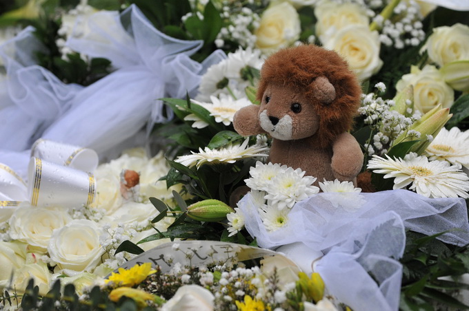 Zadar, 300313.
Sprovod djevojcice Nore Situm koja je prosli tjedan preminula u bolnici u Philadelphiji nakon duge i teske bolesti, odrzao se danas na gradskom groblju u Zadru. Na sprovodu je bilo nekoliko stotina ljudi, obitelji i prijatelja.
Na fotografi Zadar, 300313.
Sprovod djevojcice Nore Situm koja je prosli tjedan preminula u bolnici u Philadelphiji nakon duge i teske bolesti, odrzao se danas na gradskom groblju u Zadru. Na sprovodu je bilo nekoliko stotina ljudi, obitelji i prijatelja.
Na fotografi