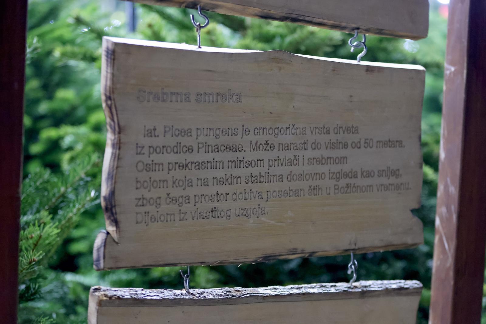 Prodaja božićnih jelki u Zadru Prodaja božićnih jelki u Zadru