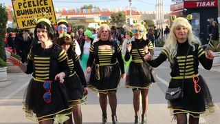 2. Međunarodna karnevalska povorka Virskih maškara