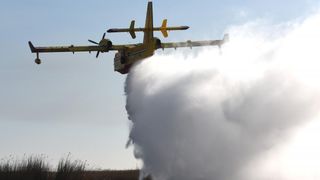 Požar u ornitološkom rezervatu Parka prirodeP Vransko jezero Požar u ornitološkom rezervatu Parka prirodeP Vransko jezero