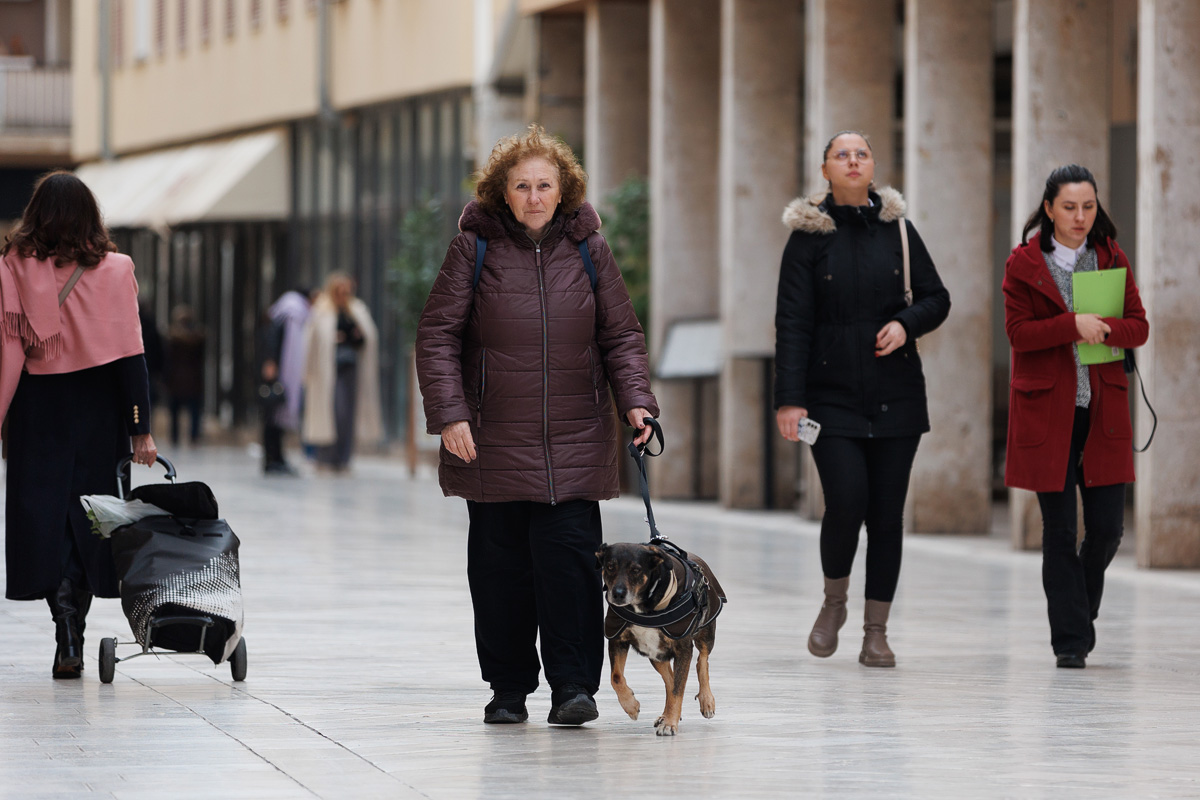 Đir po gradu, 17. veljače 2025.