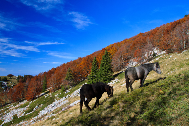 Đir do Zavižana, sjeverni Velebit, foto: Leo Banić