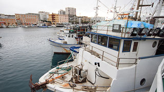 Ribarice u zadarskoj luci, Foto: Leo Banić