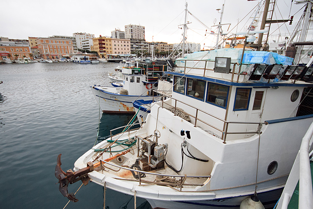 Ribarice u zadarskoj luci, Foto: Leo Banić