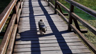 Nedjeljni izlet u Nacionalni park Krka Nedjeljni izlet u Nacionalni park Krka