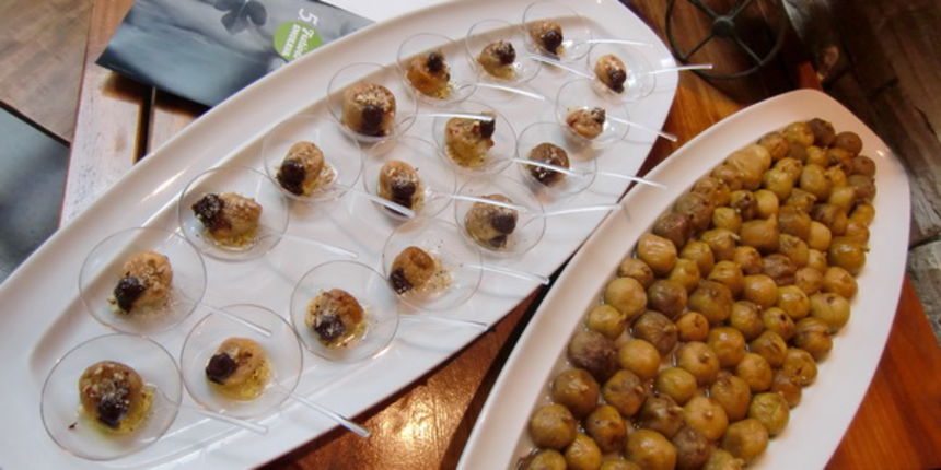 Pet bunara- Gastro smokva