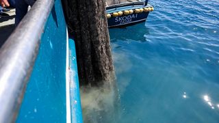 Ekološka manifestacija “Uz more, za more: zelena misija za održivu budućnost Hrvatske” održala se danas na plivarici Škoda koja je jutros u 11 sati isplovila iz zadarske luke Gaženica prema Ugljanu gdje će se provela akcija izvlačenja odbačenih ribarskih Ekološka manifestacija “Uz more, za more: zelena misija za održivu budućnost Hrvatske” održala se danas na plivarici Škoda koja je jutros u 11 sati isplovila iz zadarske luke Gaženica prema Ugljanu gdje će se provela akcija izvlačenja odbačenih ribarskih