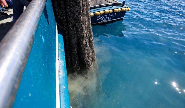 Ekološka manifestacija “Uz more, za more: zelena misija za održivu budućnost Hrvatske” održala se danas na plivarici Škoda koja je jutros u 11 sati isplovila iz zadarske luke Gaženica prema Ugljanu gdje će se provela akcija izvlačenja odbačenih ribarskih