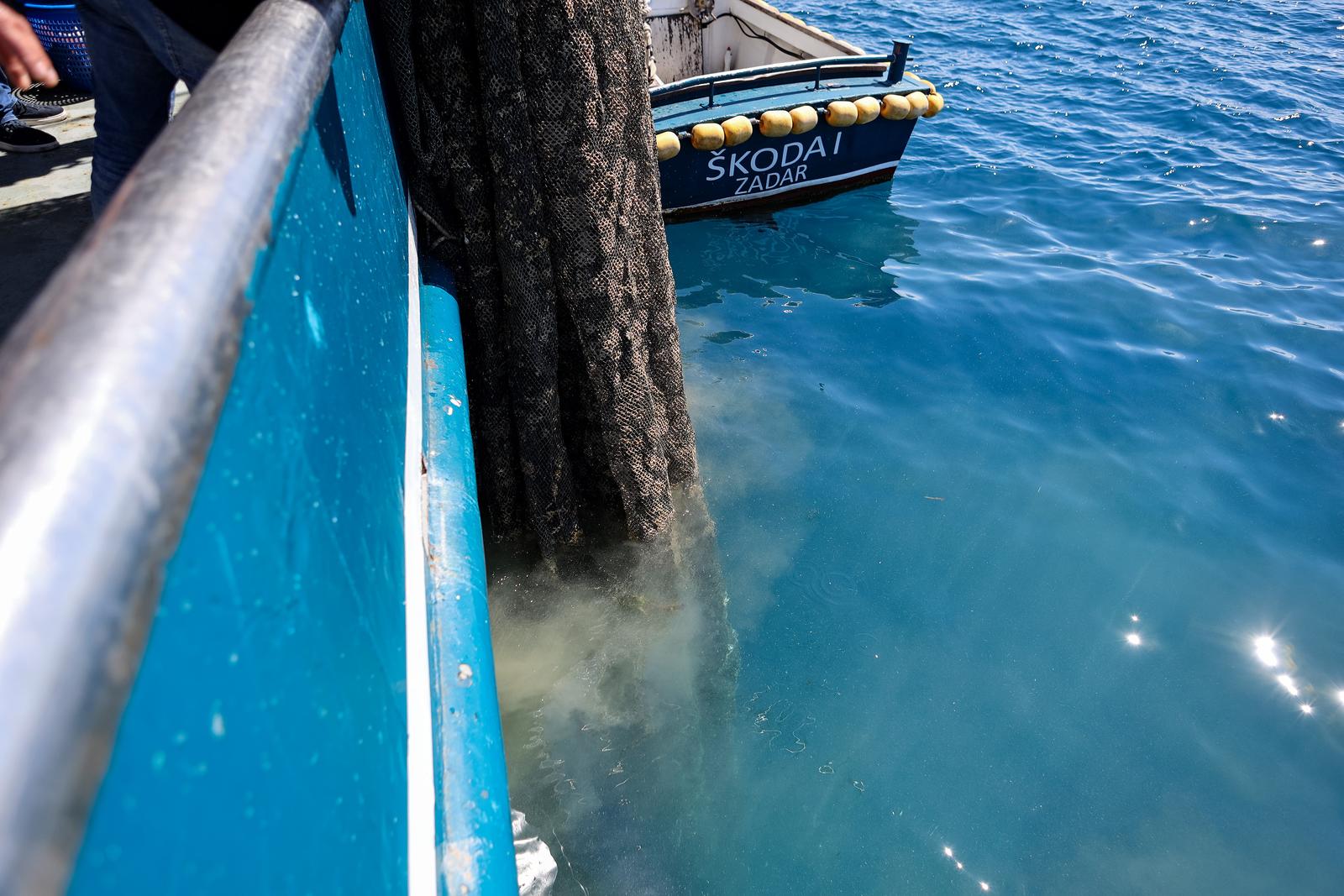 Ekološka manifestacija “Uz more, za more: zelena misija za održivu budućnost Hrvatske” održala se danas na plivarici Škoda koja je jutros u 11 sati isplovila iz zadarske luke Gaženica prema Ugljanu gdje će se provela akcija izvlačenja odbačenih ribarskih Ekološka manifestacija “Uz more, za more: zelena misija za održivu budućnost Hrvatske” održala se danas na plivarici Škoda koja je jutros u 11 sati isplovila iz zadarske luke Gaženica prema Ugljanu gdje će se provela akcija izvlačenja odbačenih ribarskih