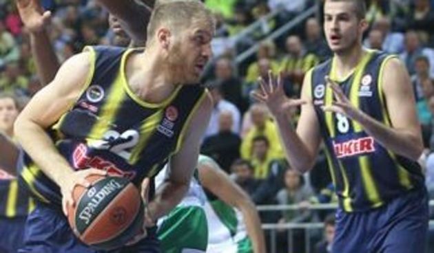 Luka Žorić, foto: fenerbahce.org