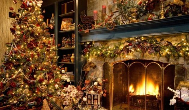 Božićno drvce; jelka; bor (moneyning.com)