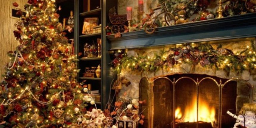 Božićno drvce; jelka; bor (moneyning.com)