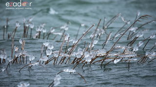 Zimska idila u Parku prirode Vransko jezero Zimska idila u Parku prirode Vransko jezero