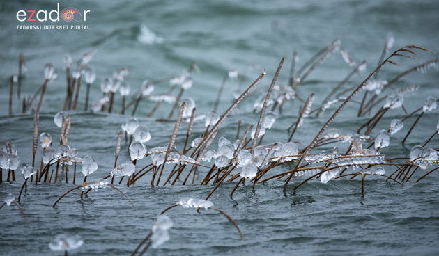 Zimska idila u Parku prirode Vransko jezero