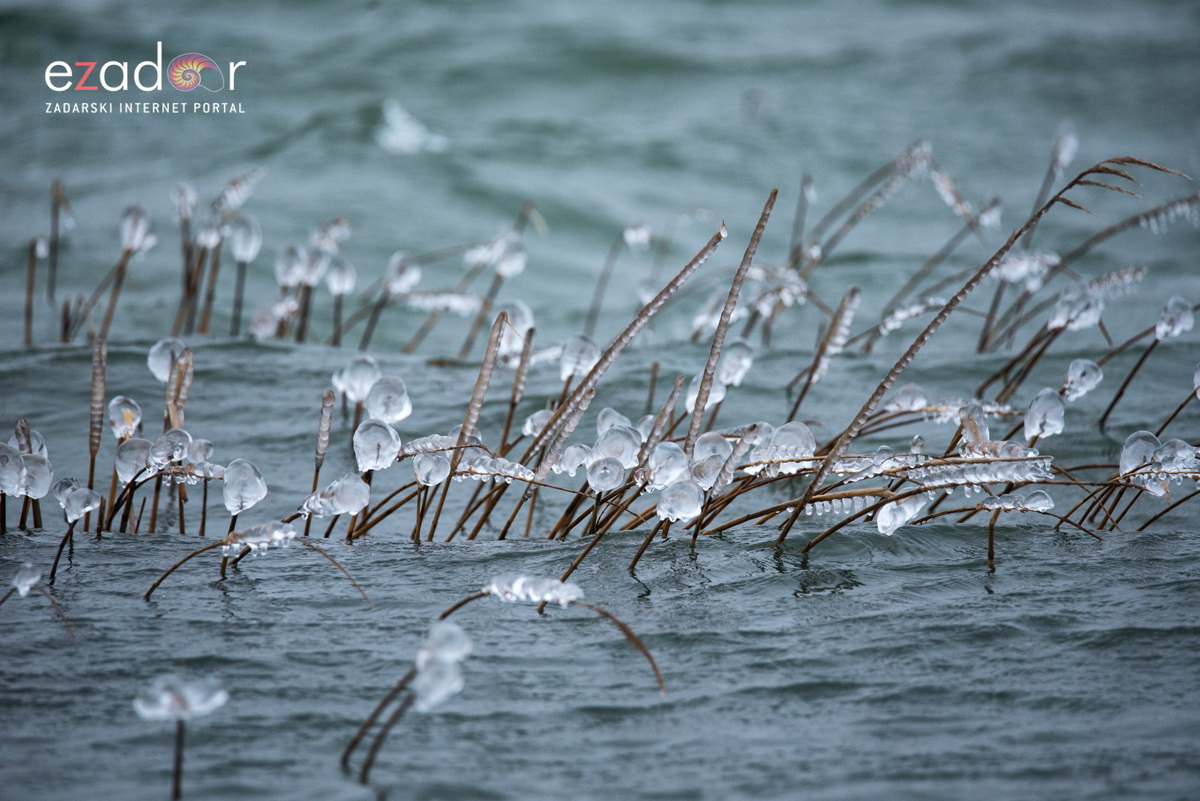 Zimska idila u Parku prirode Vransko jezero Zimska idila u Parku prirode Vransko jezero