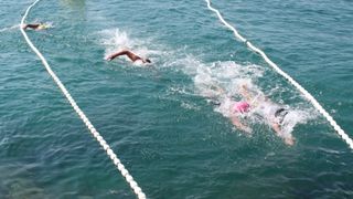 plivanje, plivacki maraton, plivacki maraton biograd 2013, maraton