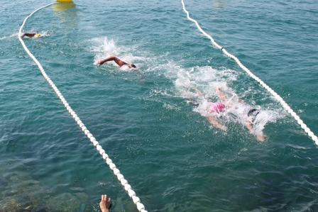 plivanje, plivacki maraton, plivacki maraton biograd 2013, maraton