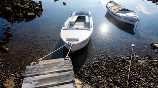Zadar, 180112.
Velike plime i oseke, u ovom slucaju oseke, javljaju se u razdobljima punog mjeseca. Razina mora pala je za malo vise od pola metra sto i nije neki veliki problem osim sto su neke brodice ostale zarobljene u svojim lukama, a da isplove mora Zadar, 180112.
Velike plime i oseke, u ovom slucaju oseke, javljaju se u razdobljima punog mjeseca. Razina mora pala je za malo vise od pola metra sto i nije neki veliki problem osim sto su neke brodice ostale zarobljene u svojim lukama, a da isplove mora
