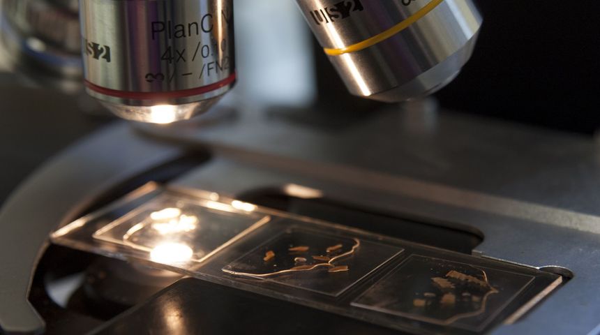 Kako STEM znanosti pridonose novim spoznajama u arheologiji Kako STEM znanosti pridonose novim spoznajama u arheologiji