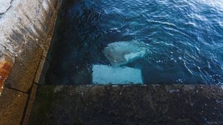 Dio zadarske rive urušio se nakon tijekom jučerašnjeg nevremena