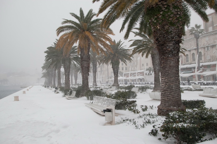 Split, 030212.
Nakon nekoliko godina, danima najavljivan snijeg pao je i na Splitskom podrucju. Iako je bio najavljen, Splicani nisu bili spremni na bijeli pokrivac, te im je on uz snaznu buru otezavao svakodnevni zivot.
Foto: Vojko Basic / CROPIX Split, 030212.
Nakon nekoliko godina, danima najavljivan snijeg pao je i na Splitskom podrucju. Iako je bio najavljen, Splicani nisu bili spremni na bijeli pokrivac, te im je on uz snaznu buru otezavao svakodnevni zivot.
Foto: Vojko Basic / CROPIX