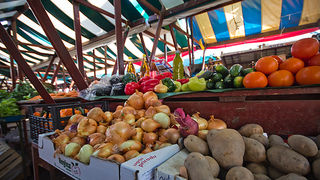 Đir po pijaci, 30. siječnja 2012. (foto:Saša Čuka)