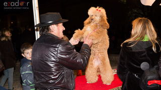 Humanitarni svjetlosni spektakl “Zaželi ljubav” na zadarskom Forumu, 18. veljače 2017. Humanitarni svjetlosni spektakl “Zaželi ljubav” na zadarskom Forumu, 18. veljače 2017.