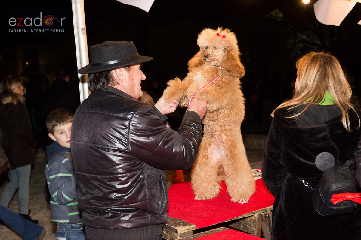 Humanitarni svjetlosni spektakl “Zaželi ljubav” na zadarskom Forumu, 18. veljače 2017. Humanitarni svjetlosni spektakl “Zaželi ljubav” na zadarskom Forumu, 18. veljače 2017.