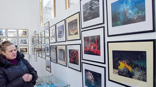 Otvorenje izložbe “Zagrljaj dubine” u Gradskoj loži, Foto: Leo Banić Otvorenje izložbe “Zagrljaj dubine” u Gradskoj loži, Foto: Leo Banić