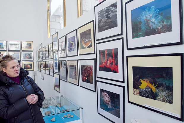 Otvorenje izložbe “Zagrljaj dubine” u Gradskoj loži, Foto: Leo Banić Otvorenje izložbe “Zagrljaj dubine” u Gradskoj loži, Foto: Leo Banić
