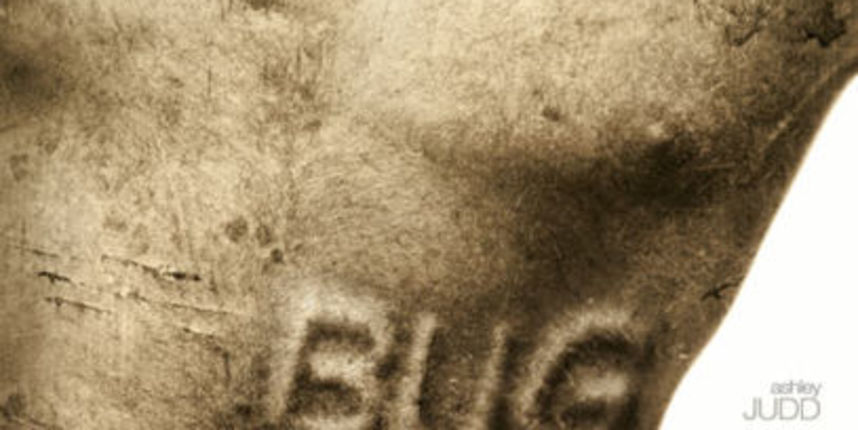 Image 1183837 (auto)