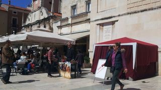 Bleke i Konji u kampanji Bleke i Konji u kampanji