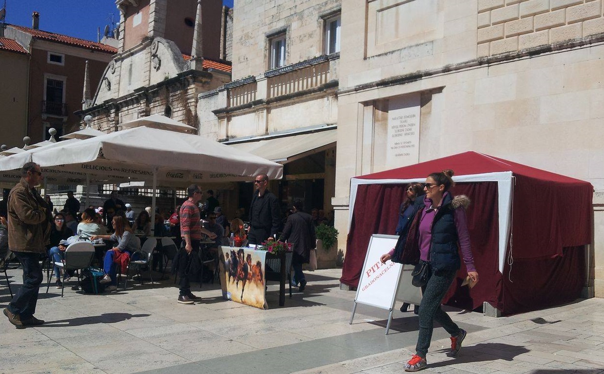 Bleke i Konji u kampanji Bleke i Konji u kampanji