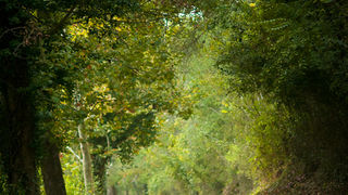 Izlet u NP Krka: Skradin, Skradinski buk, Visovac, foto: Darko Belančić