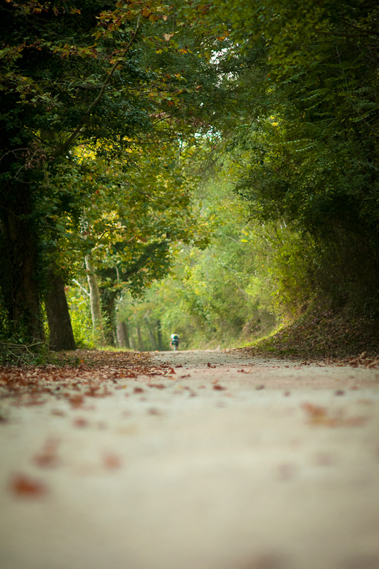 Izlet u NP Krka: Skradin, Skradinski buk, Visovac, foto: Darko Belančić