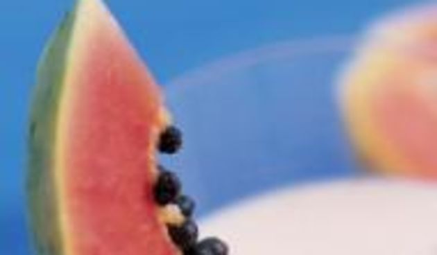 Lubenica (Roditelji.hr)