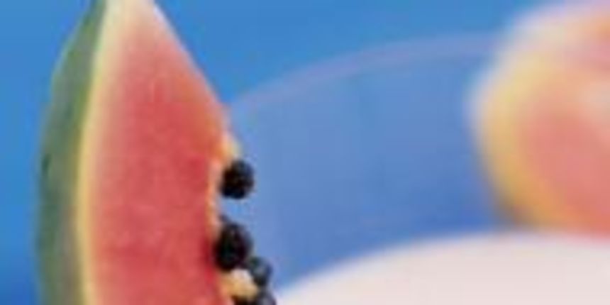 Lubenica (Roditelji.hr) Lubenica (Roditelji.hr)