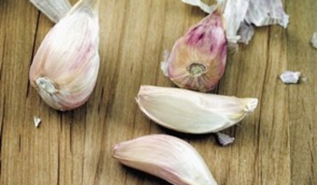 Češnjak (Tportal.hr)