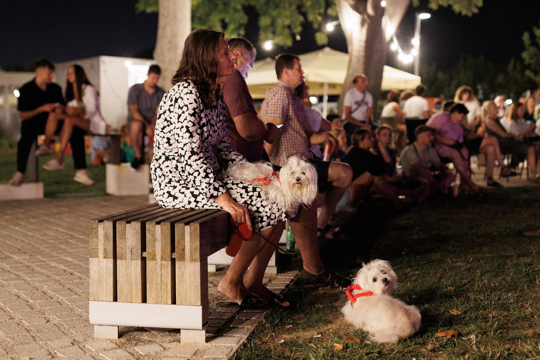 Zagrli Zadar @ zadarski bedemi