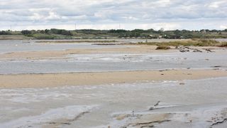 Čuvena ninska plaža Ždrijac teško stradala u poplavi